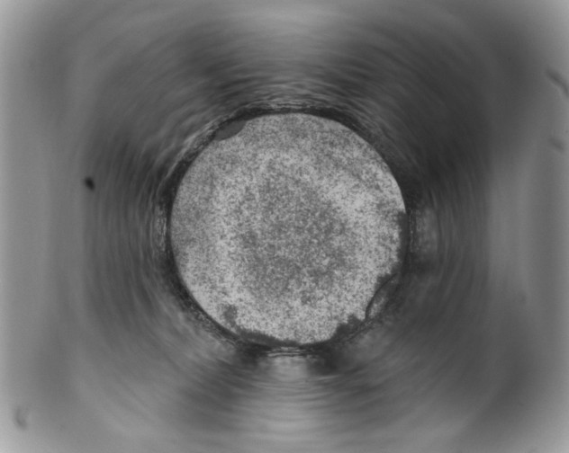 X0000099540228200806131157