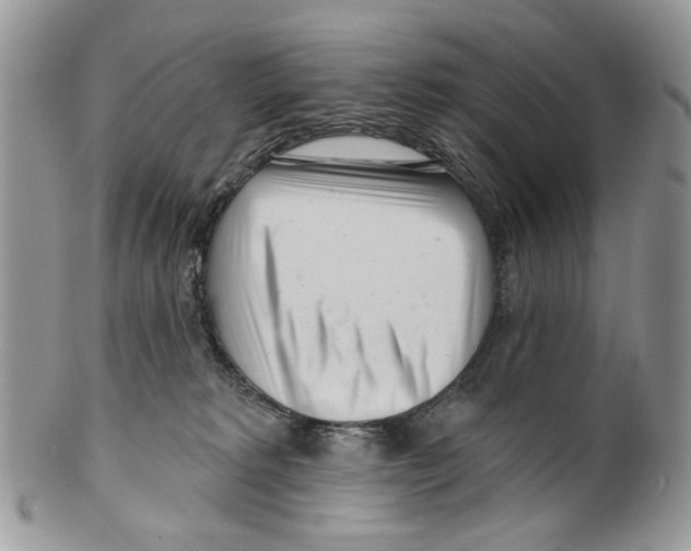 X0000099540229200806131157