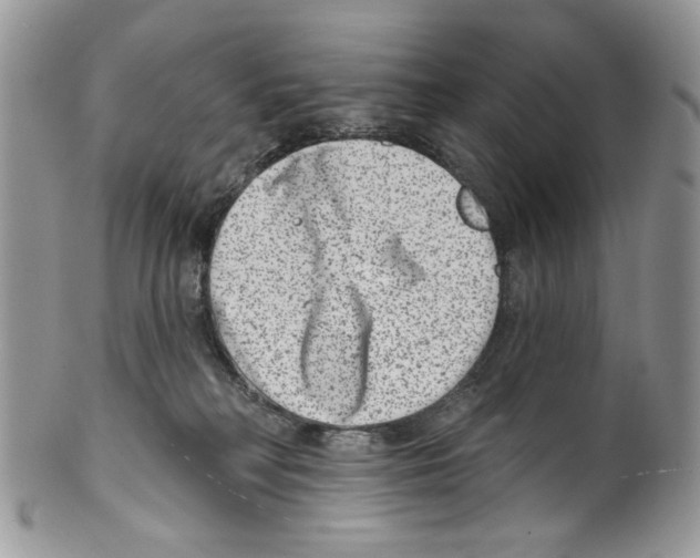 X0000099540230200806131157