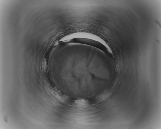 X0000099540231200806131157