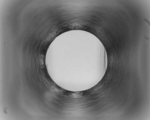 X0000099540232200806131157