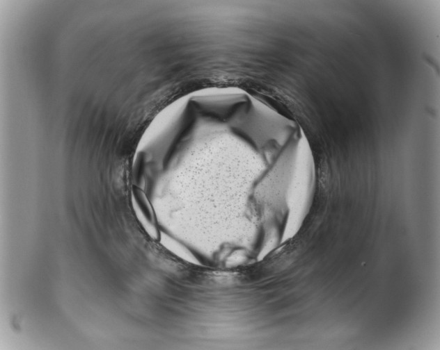 X0000099540233200806131156