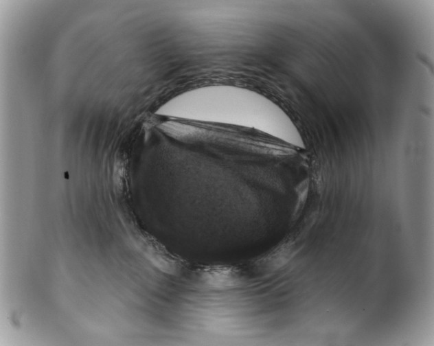 X0000099540235200806131156