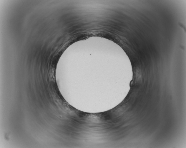 X0000099540236200806131156