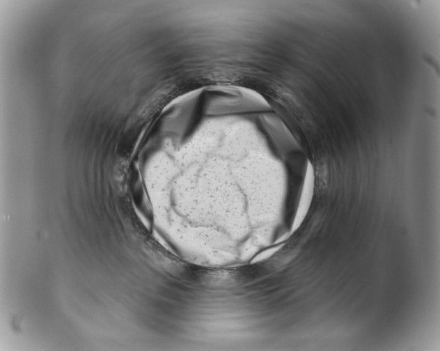 X0000099540237200806131156