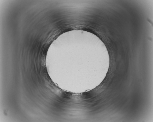 X0000099540240200806131156