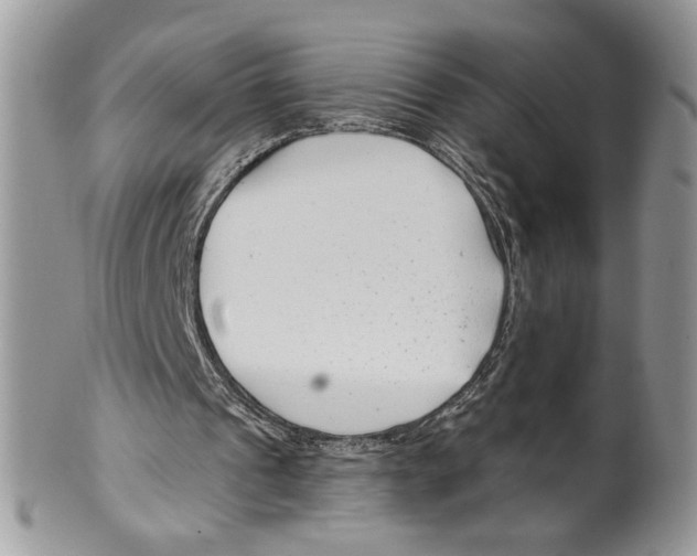 X0000099540241200806131156