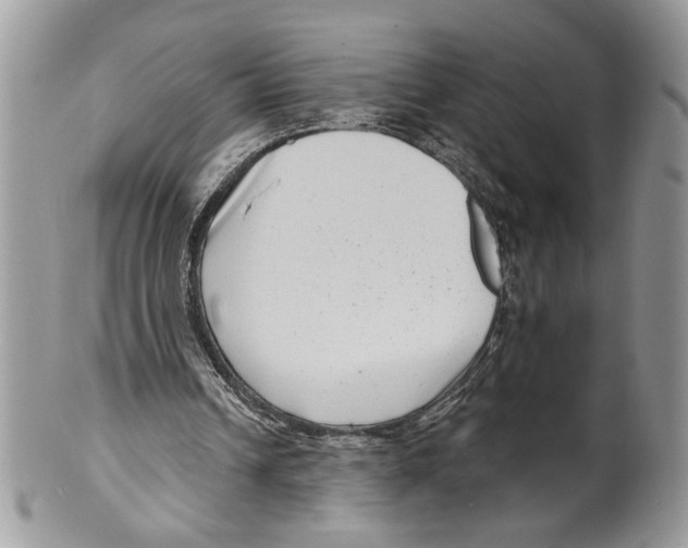 X0000099540242200806131156