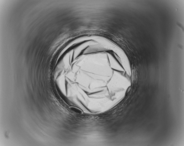 X0000099540243200806131156