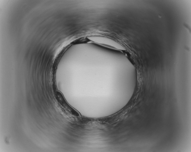 X0000099540244200806131156