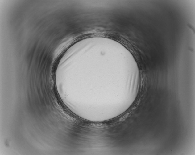 X0000099540245200806131156