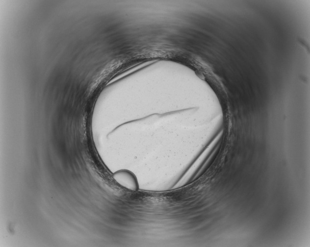 X0000099540250200806131156