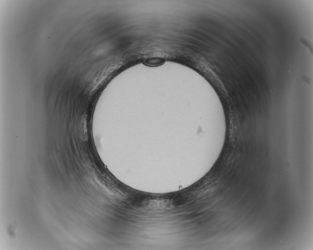 X0000099540251200806131156