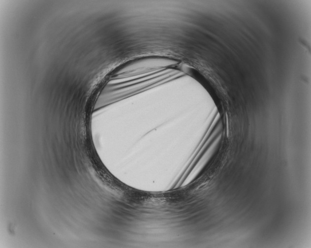 X0000099540252200806131156