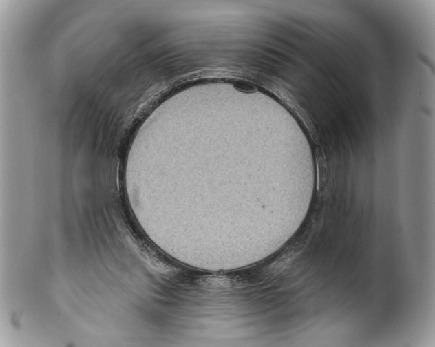 X0000099540253200806131156