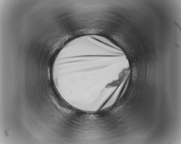 X0000099540254200806131156