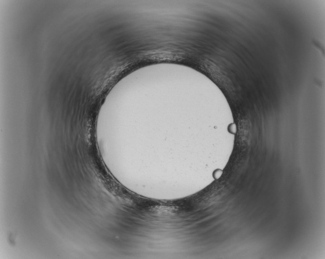 X0000099540255200806131156