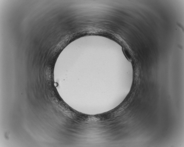 X0000099540257200806131156