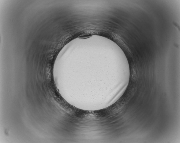 X0000099540259200806131156