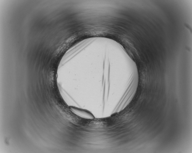 X0000099540260200806131156