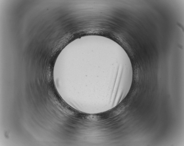 X0000099540261200806131156