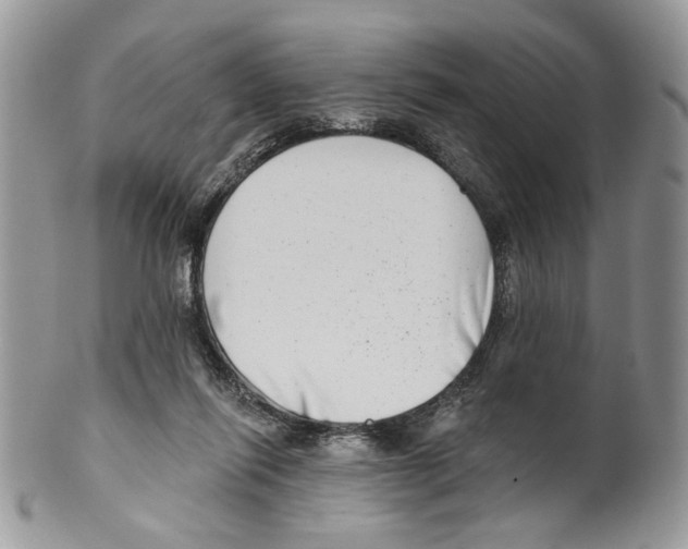 X0000099540262200806131156