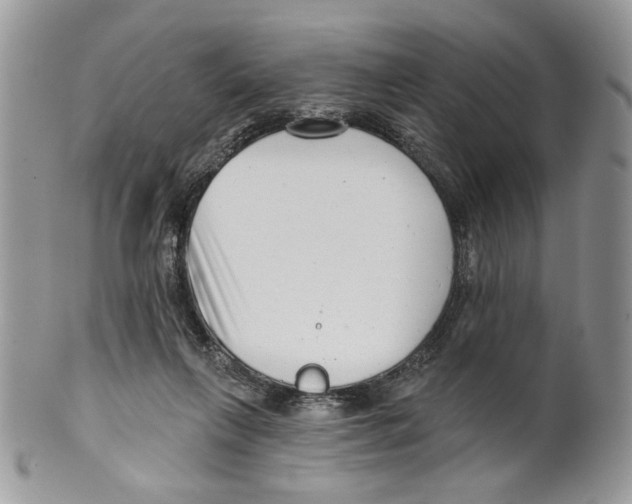 X0000099540263200806131156