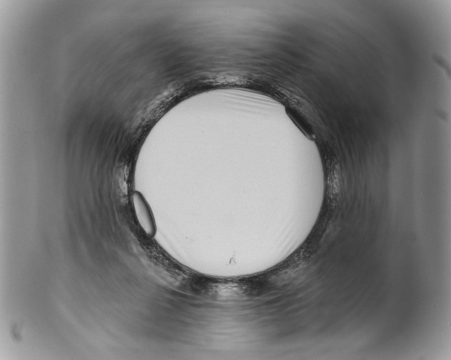 X0000099540264200806131156