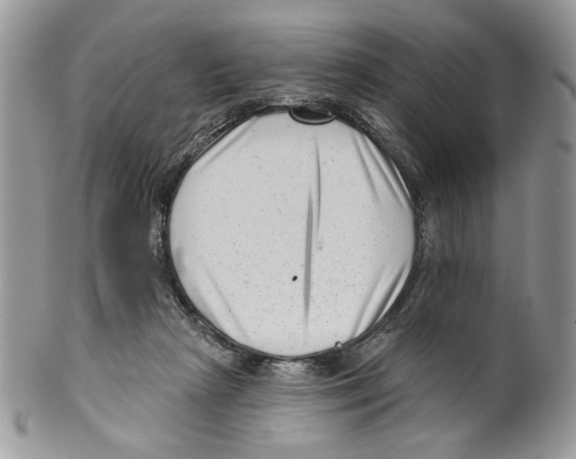 X0000099540265200806131156