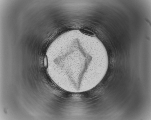 X0000099540268200806131156