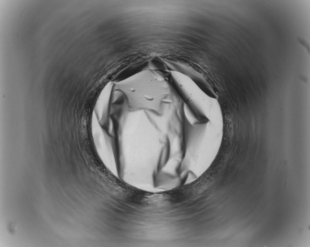 X0000099540269200806131156