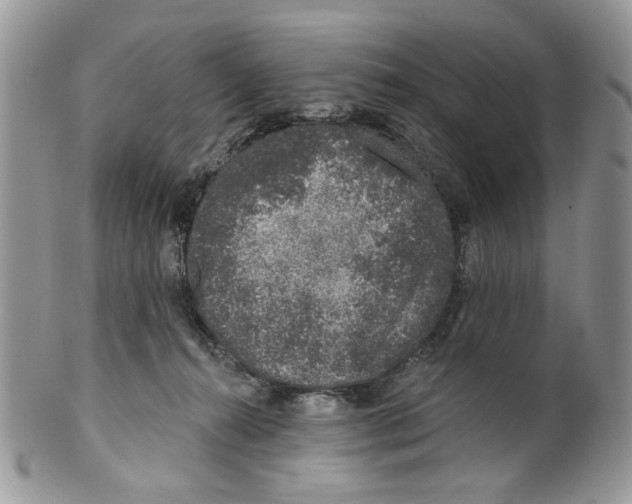 X0000099540272200806131156