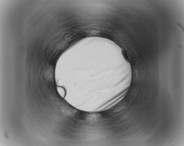 X0000099540274200806131156