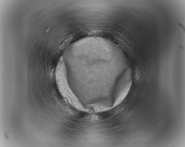 X0000099540276200806131156