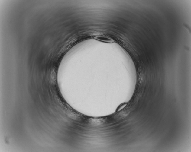 X0000099540277200806131156