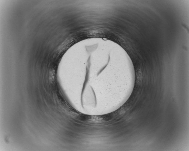 X0000099540278200806131156