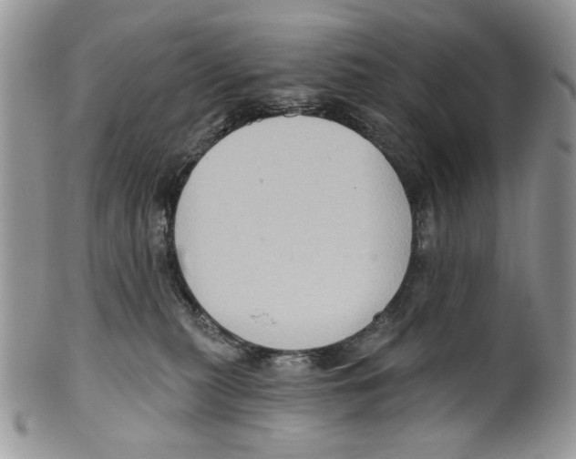 X0000099540279200806131156