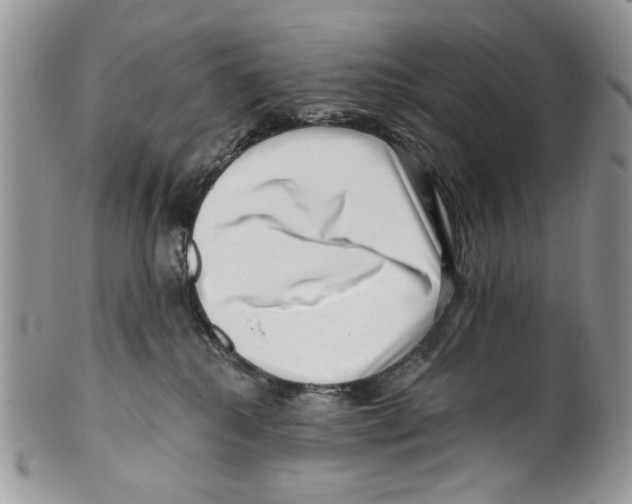 X0000099540280200806131156