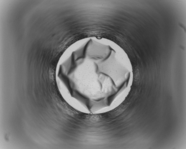 X0000099540282200806131156