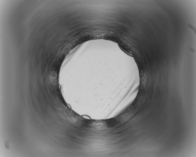 X0000099540283200806131156