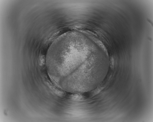 X0000099540284200806131156