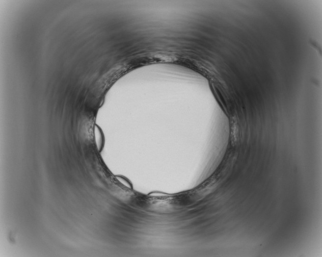 X0000099540285200806131156