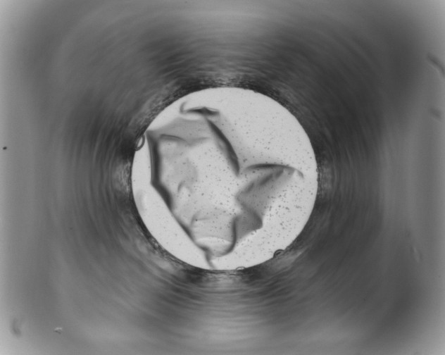 X0000099540286200806131156