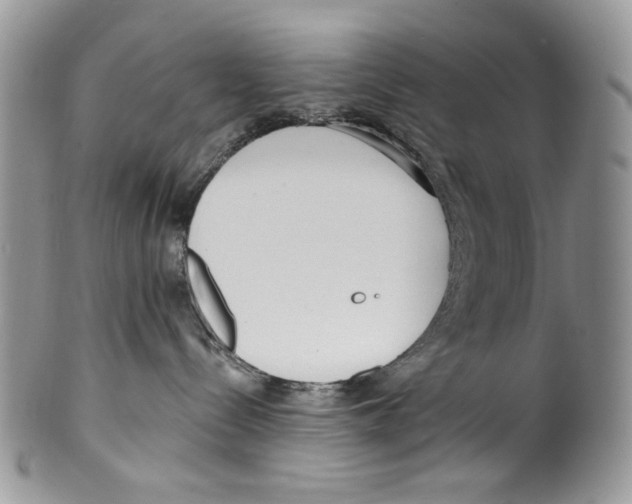 X0000099540288200806131156