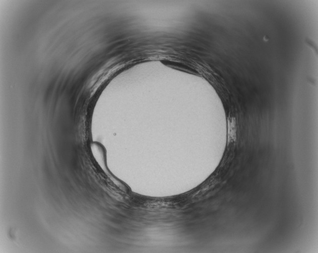 X0000099540291200806131156