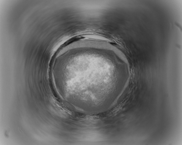 X0000099540292200806131156