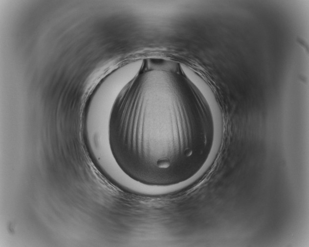 X0000099540293200806131156