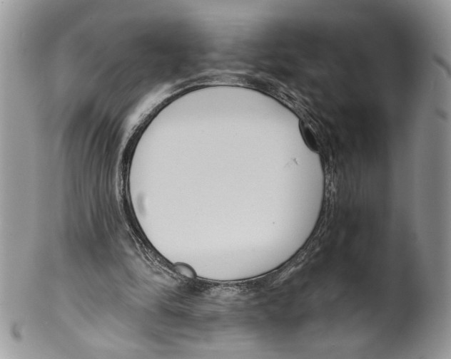 X0000099540294200806131156