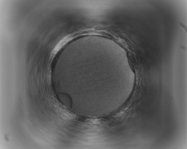 X0000099540295200806131156