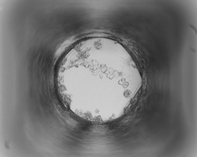X0000099540296200806131156
